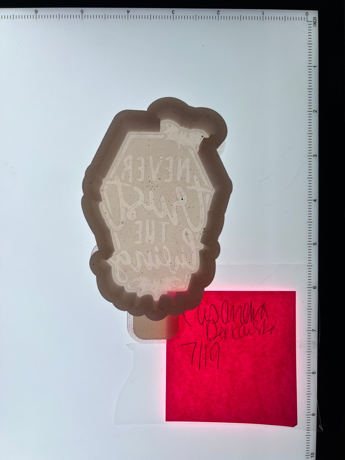Never Trust the Living Destash Mold