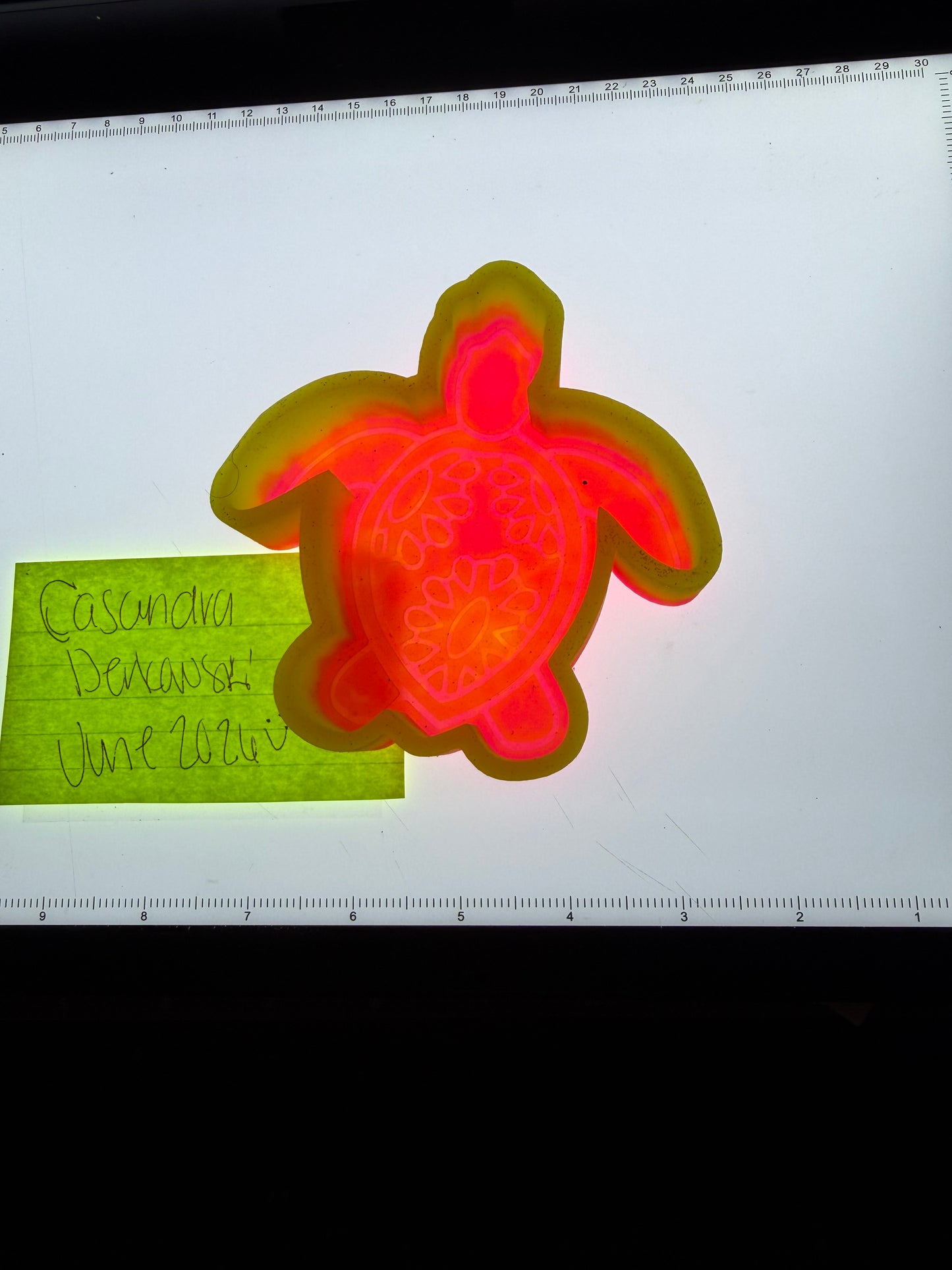Concho Turtle Destash Mold