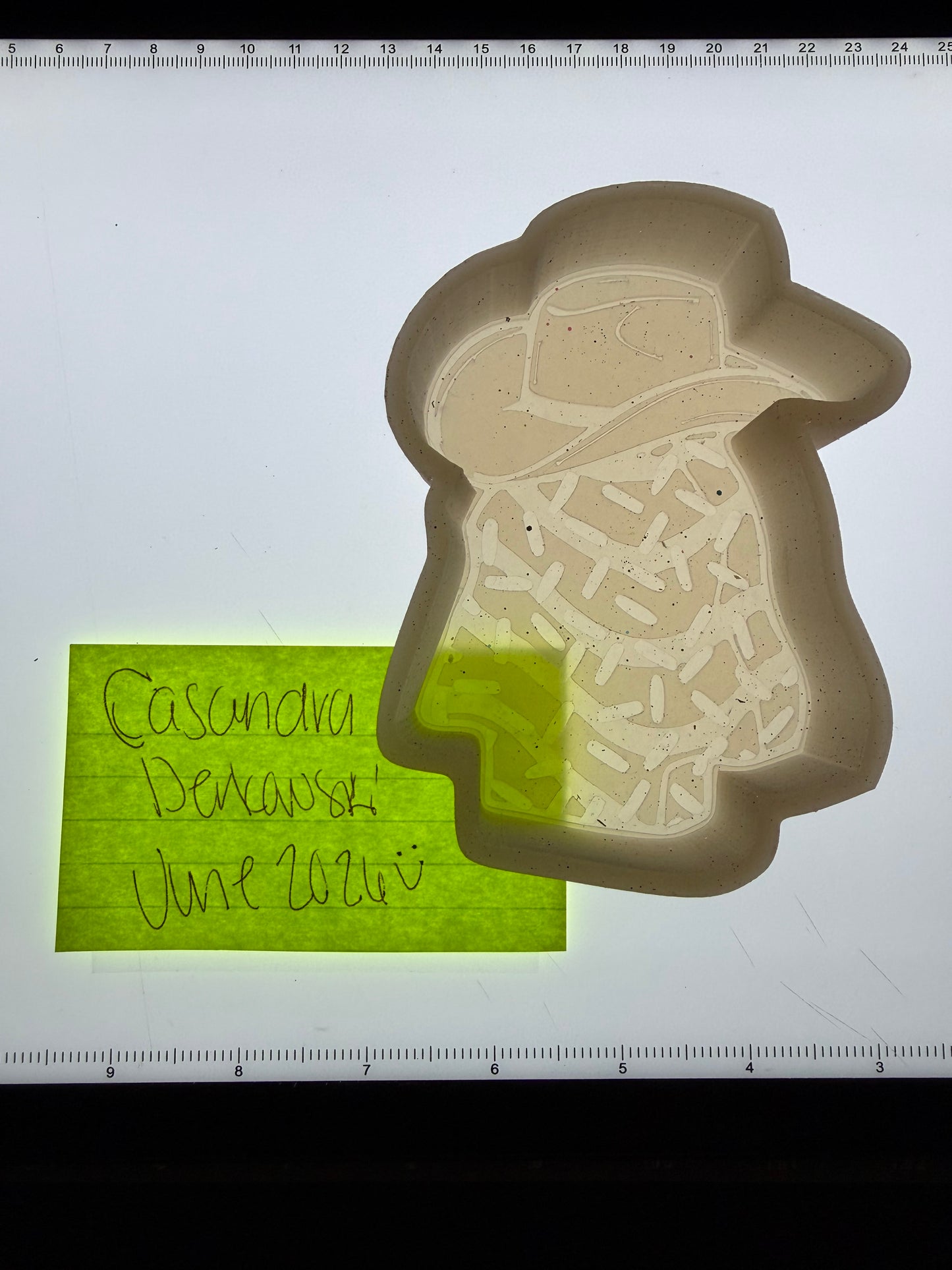 Cowboy Christmas Cake Destash Mold