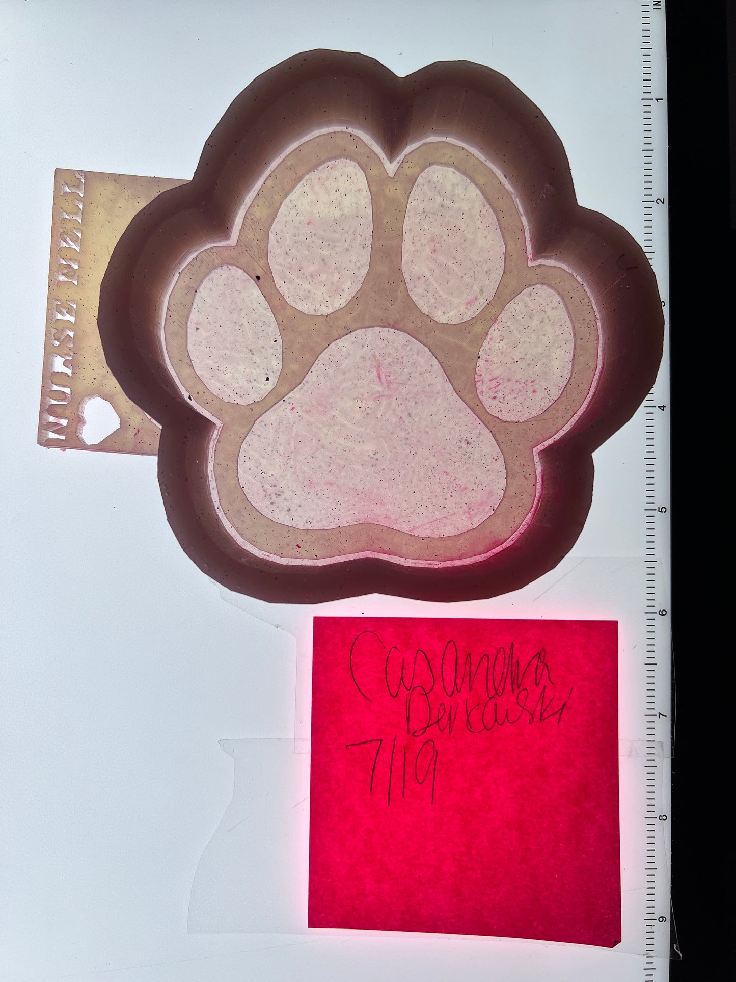 Paw Print Destash Mold