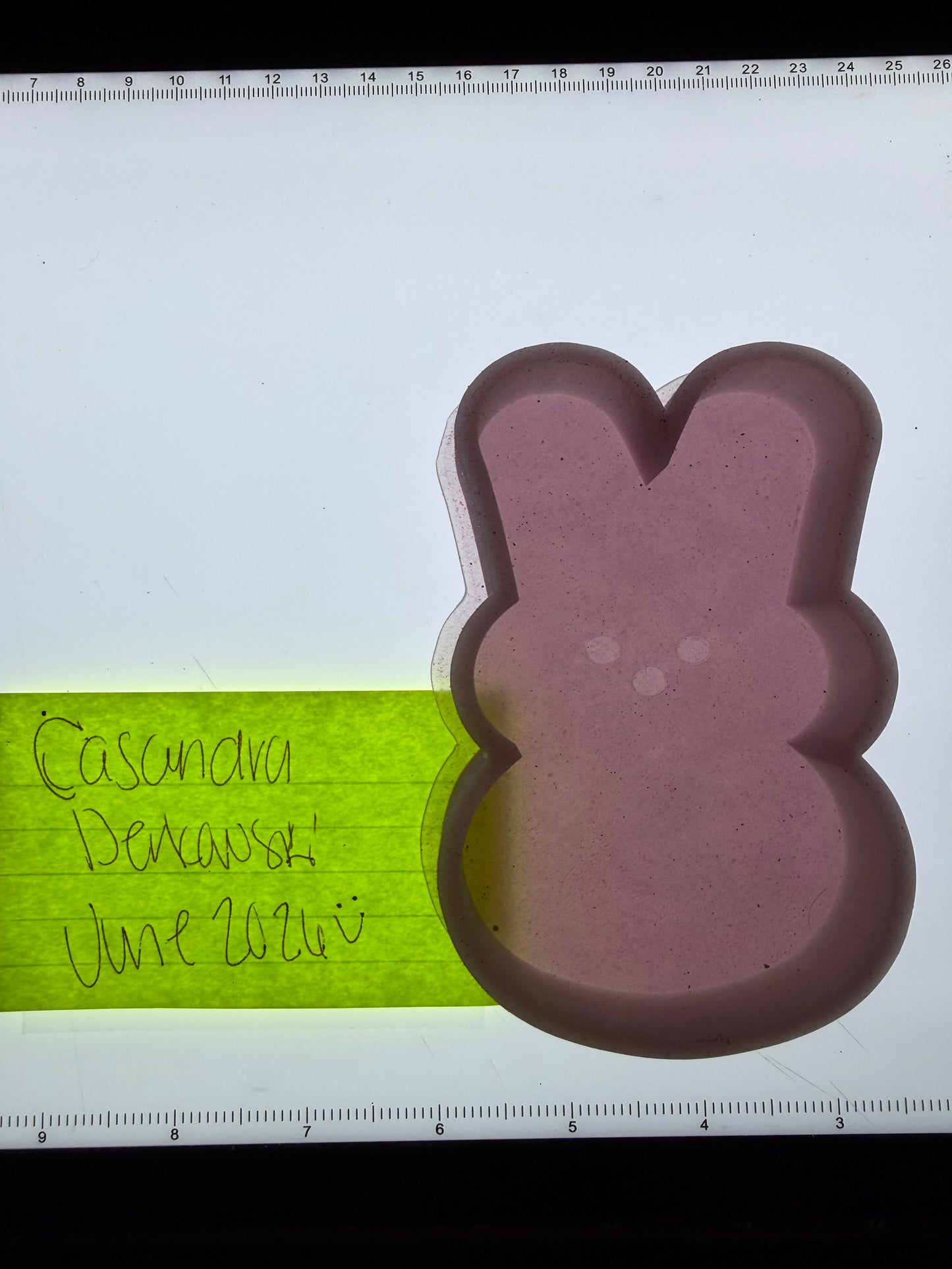 Bunny Destash Mold