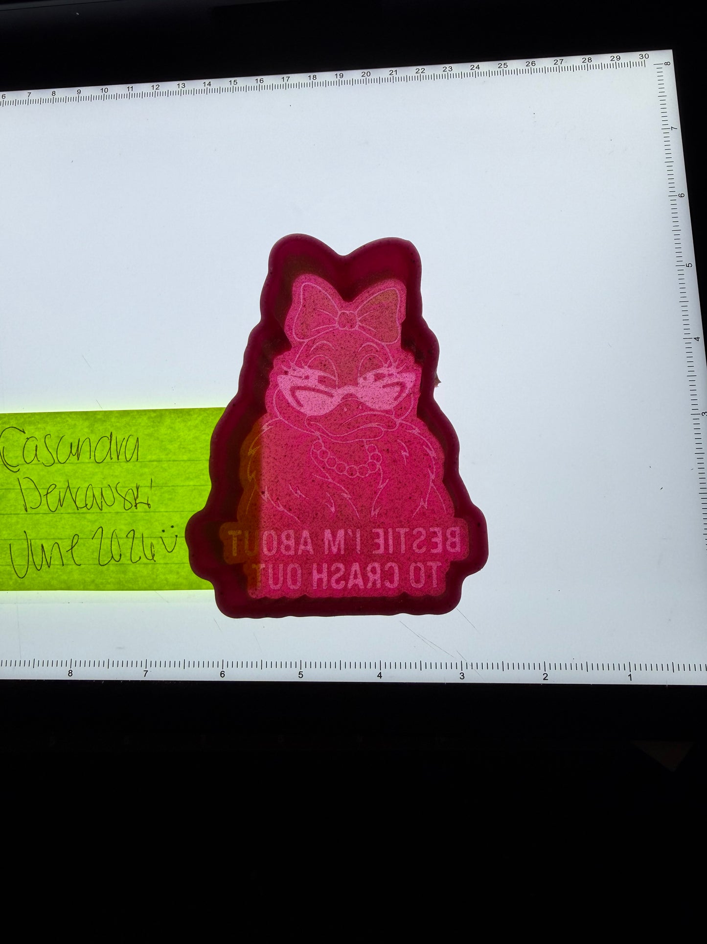 Crash Out Duck Destash Mold