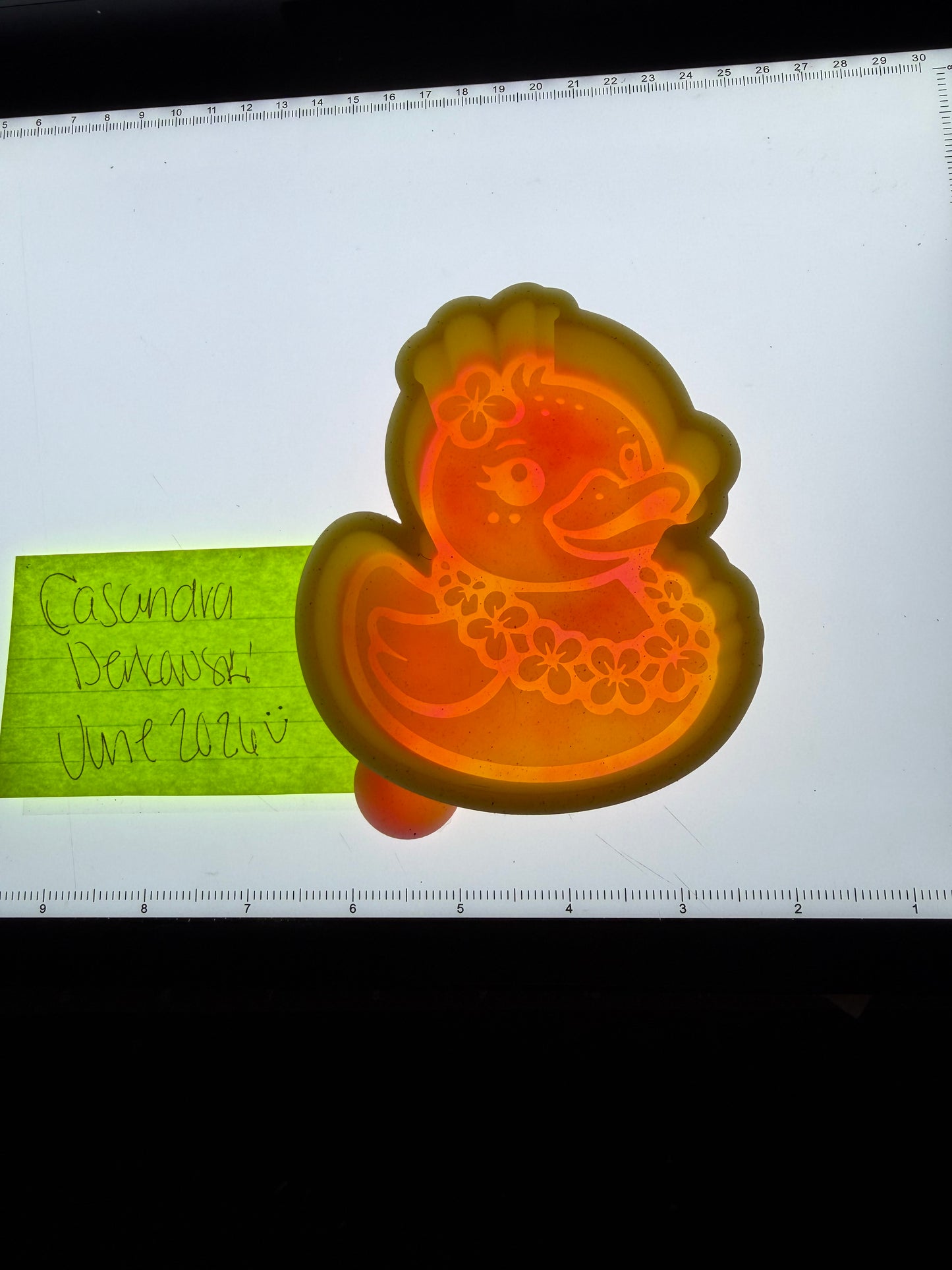 Summer Duck Destash Mold