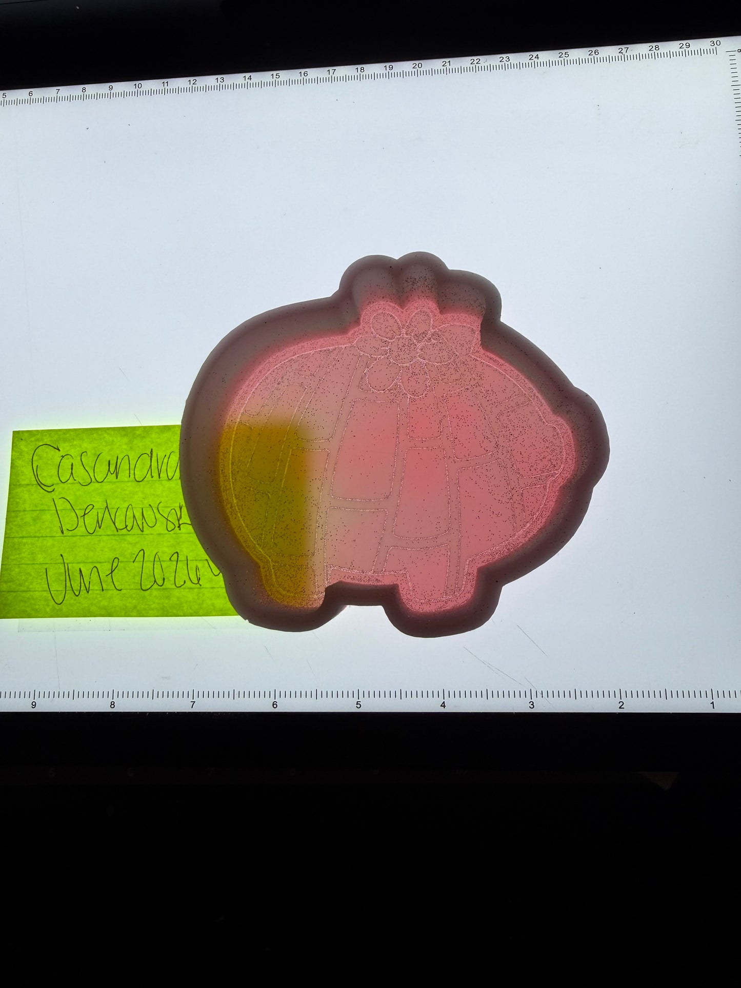 Concha Pig Destash Mold