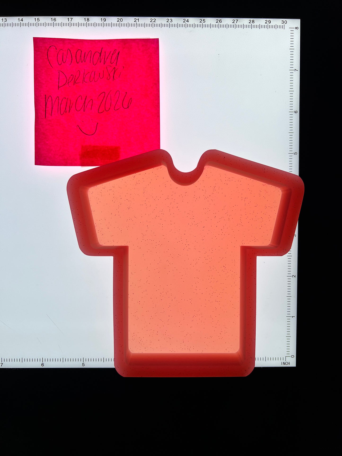 Shirt/Jersey Destash Mold