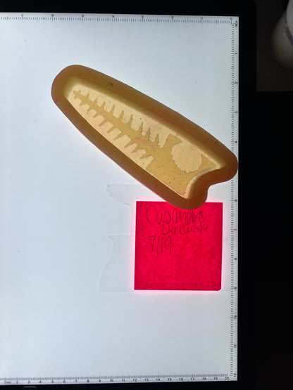 2 Lure Destash Molds
