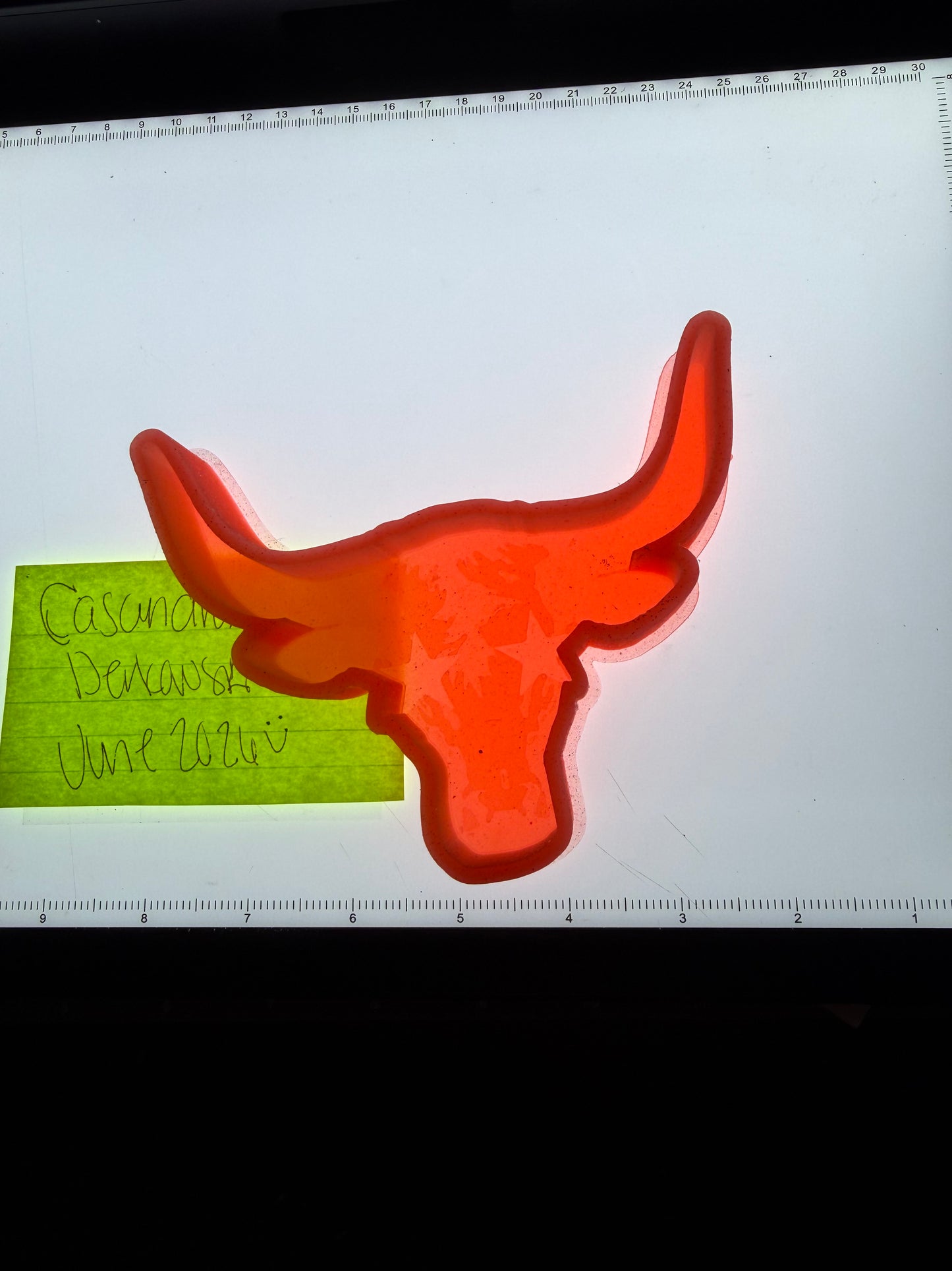 Star Eye Longhorn Mold