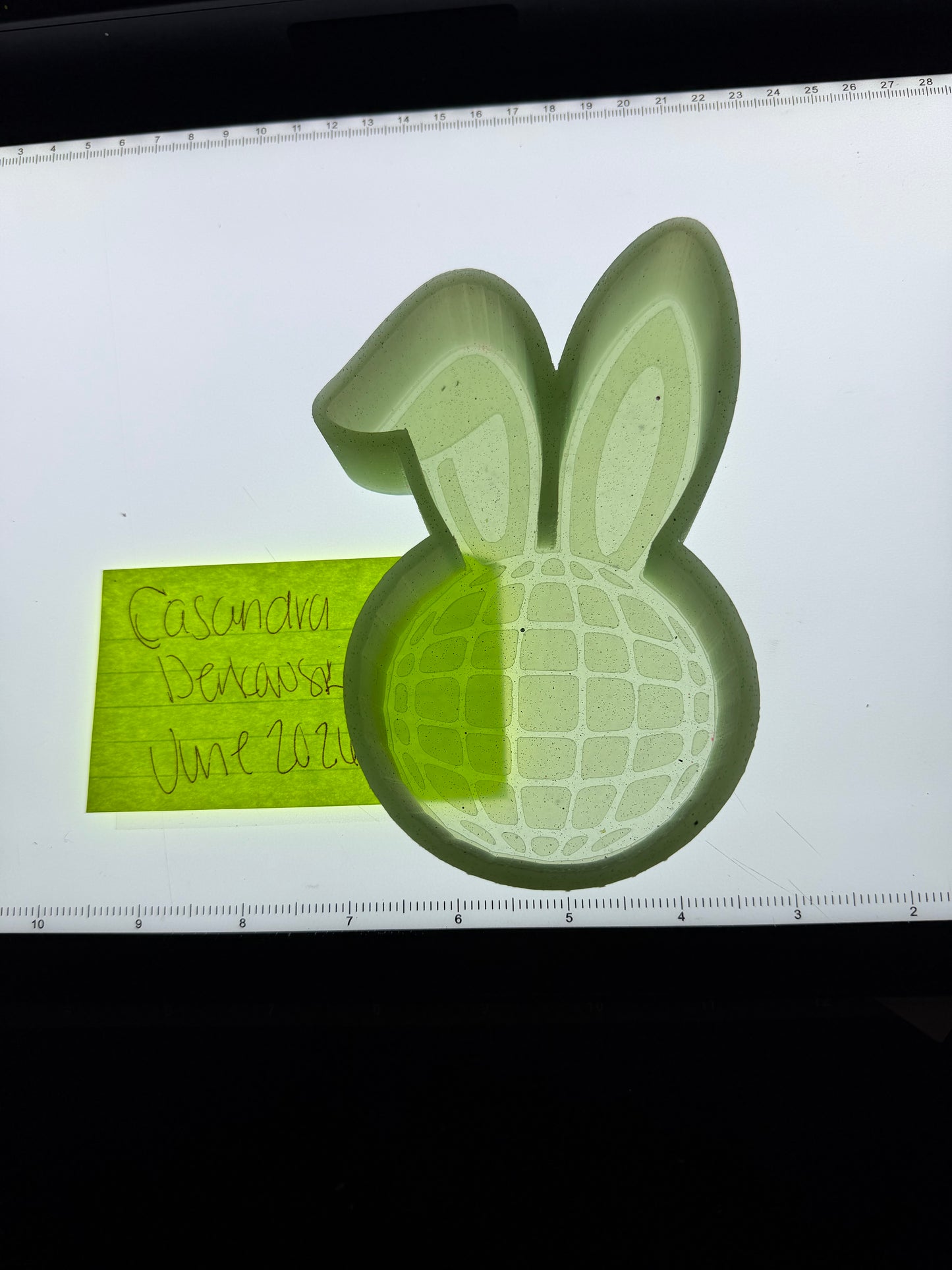 Disco Bunny Destash Mold