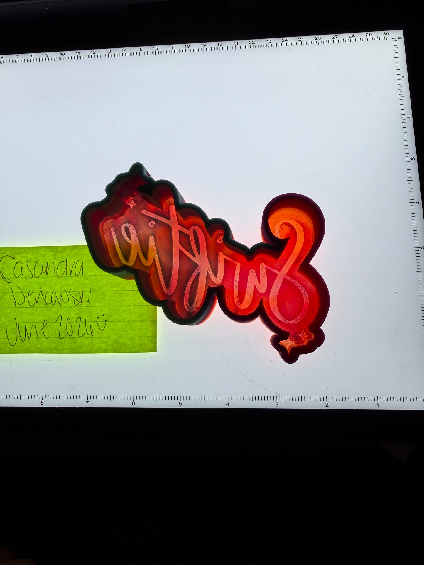 Swiftie Destash Mold