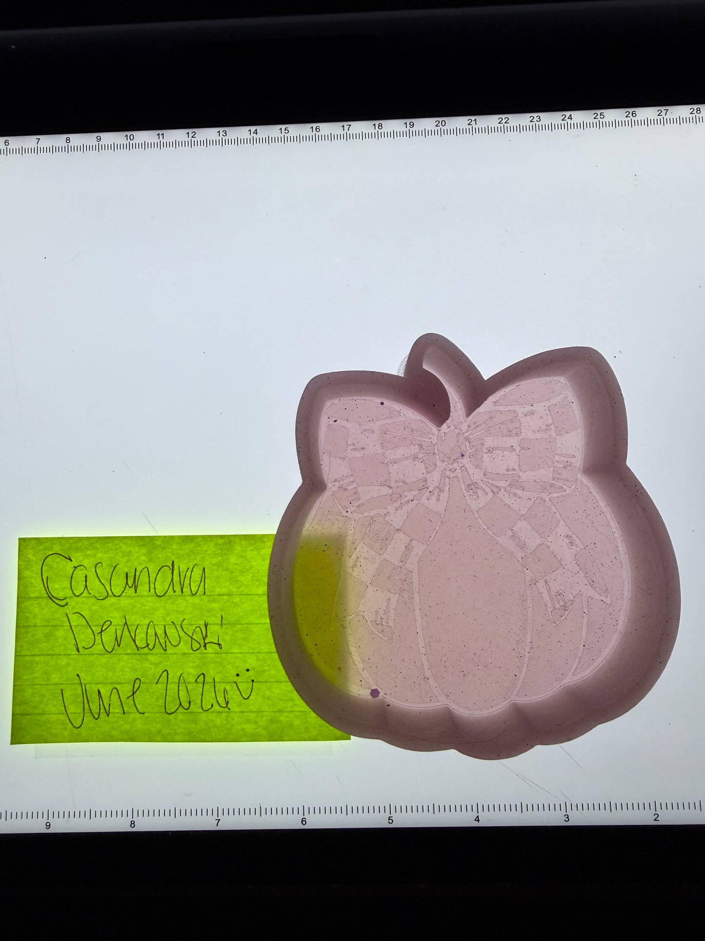 Pumpkin Check Bow Destash Mold