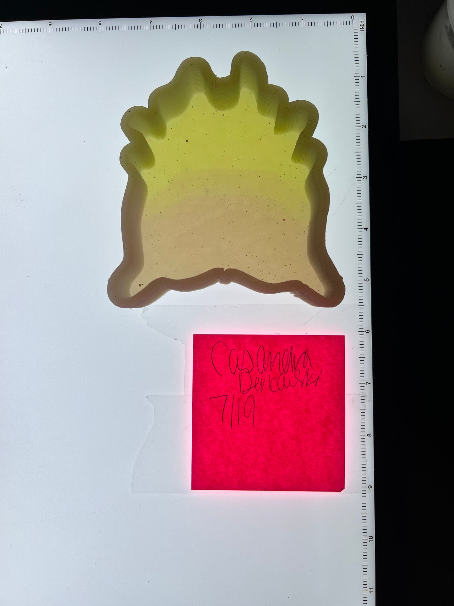 Cowhide Destash Mold - Bossy