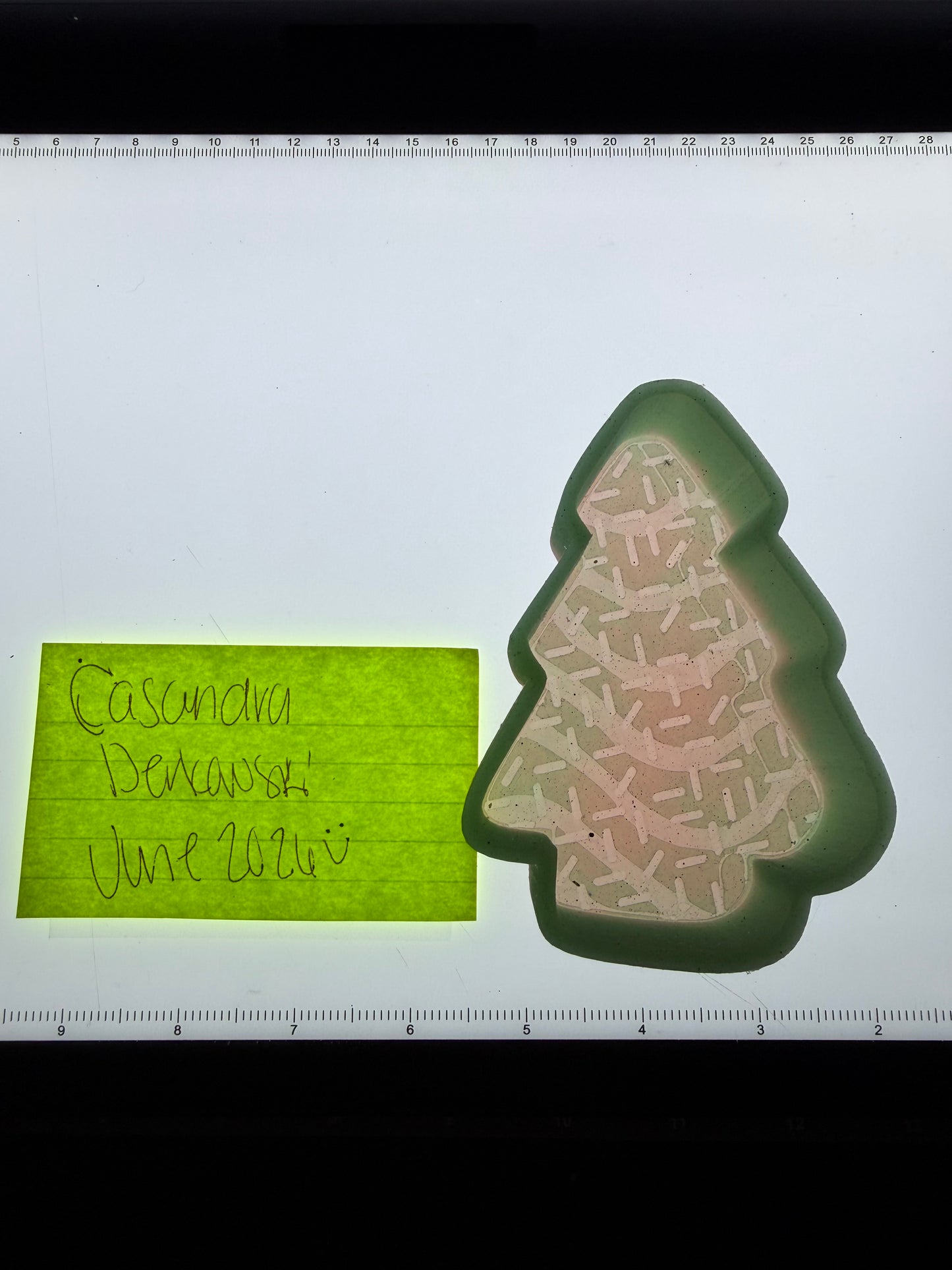 Christmas Cake Destash Mold