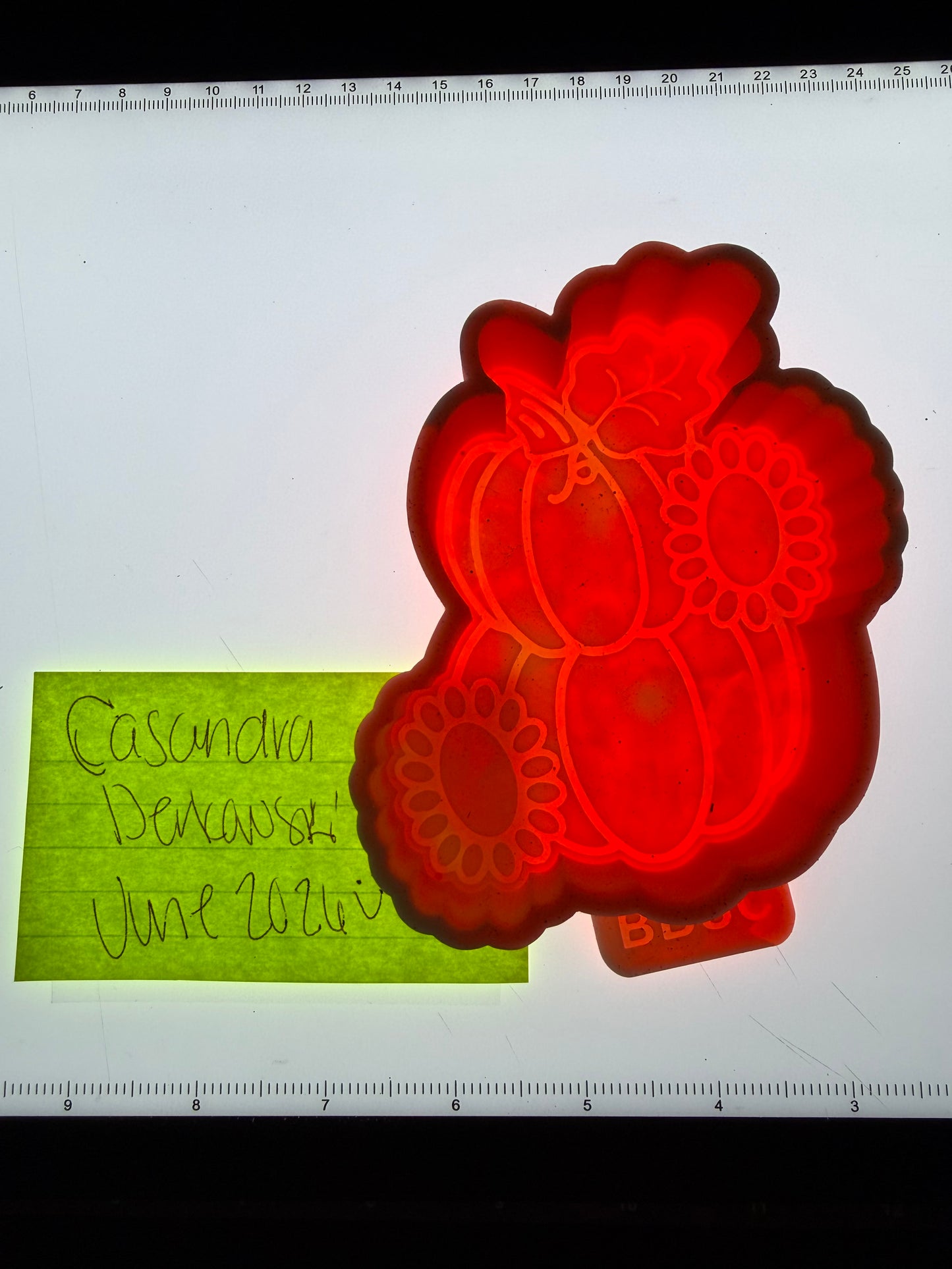 Concho Pumpkins Destash Mold
