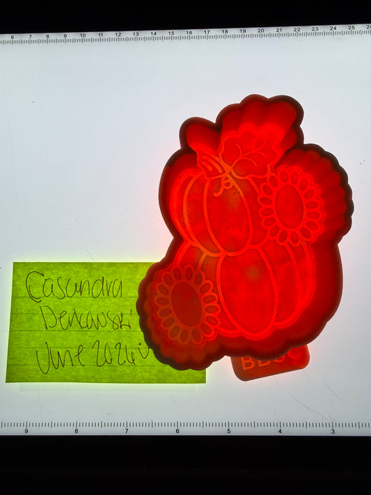Concho Pumpkins Destash Mold