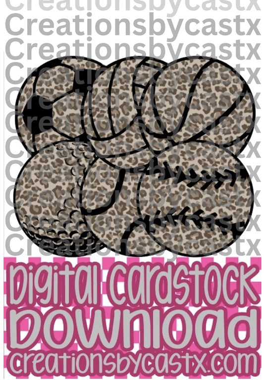 CBC Leopard Sports Balls Black Digital Cardstock