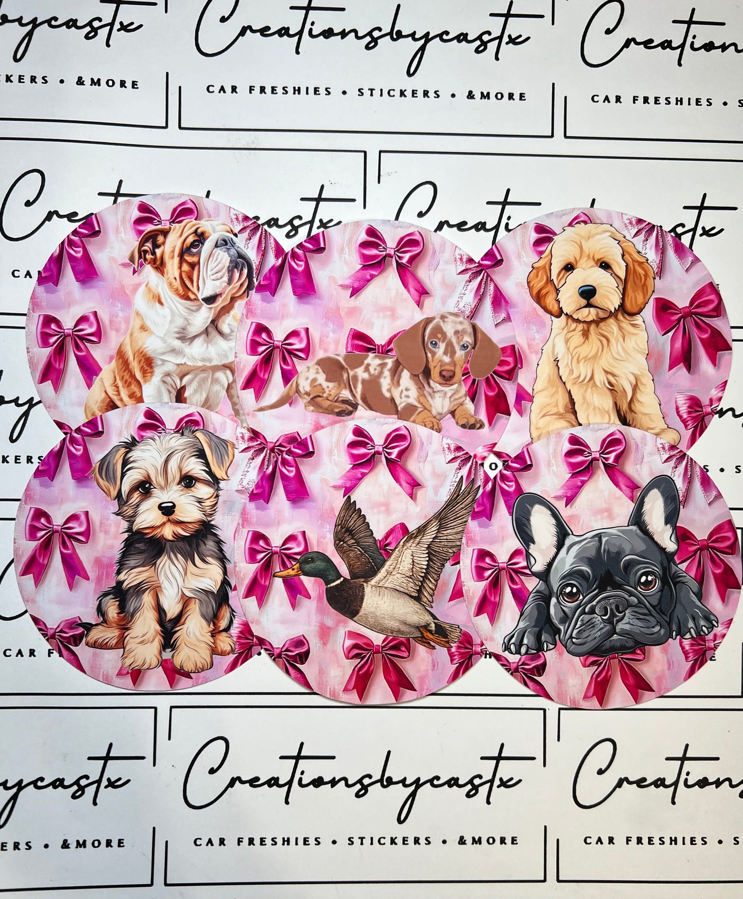 Bow Animal Round Cardstock